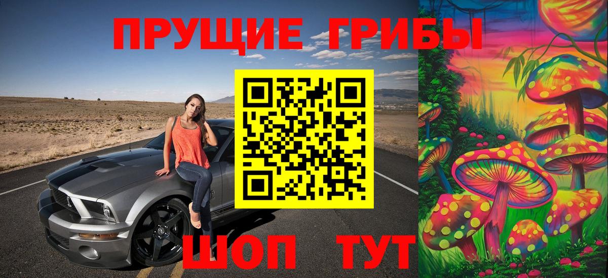где продают   Псилоцибиновые грибы Cubensis  Вход с VPN  Кизляр  Псилоцибиновые грибы MAGIC MUSHROOMS 